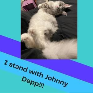 Meet your Posher, Angel